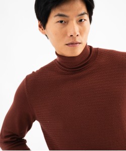 Pull à col roulé en maille fine homme